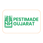 Pestimade Gujarat