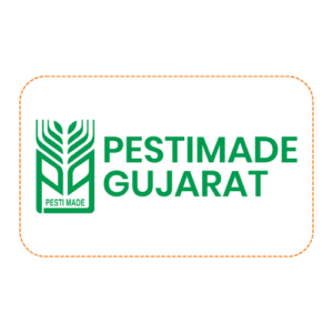 Pestimade Gujarat